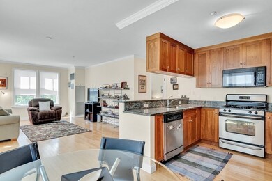 2 St Paul St unit 308, Brookline, MA 02446 - photo 4