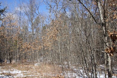 Sunny Lake Glennie Michigan