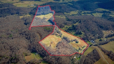 1520 Brittontown Rd, Afton, TN 37616 - photo 2