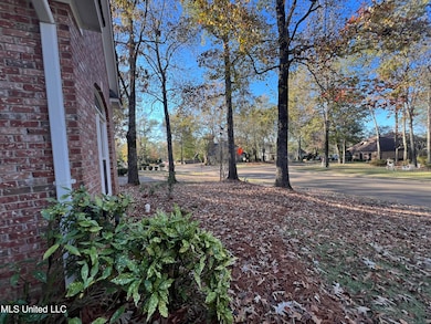 113 Reserve Crossing, Madison, MS 39110 - photo 4