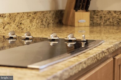 927 Hall Station Dr, Bowie, MD 20721 - photo 6