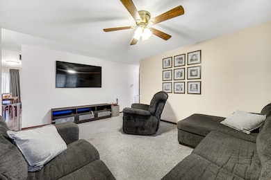 1069 Flamingo Ln, Bradley, IL 60915 - photo 3