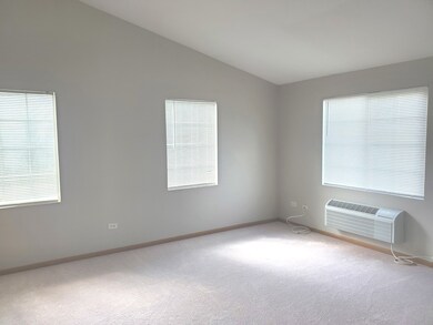 1449 Mcclure Rd unit 212, Aurora, IL 60505 - photo 3