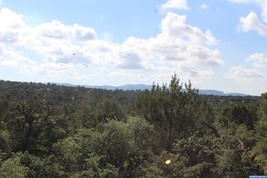 91xx Hideaway Trail, Silver City, NM 88061 - photo 6