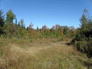 Former log landing from previous thinnings