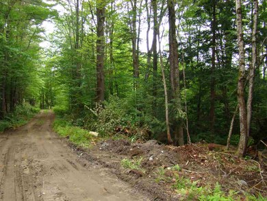 0 Chapel Hill Rd unit 58-49 4715081, Whitingham, VT 05361 - photo 4