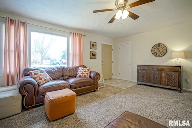 4429 N Carola Ct, Peoria, IL 61615 - photo 7