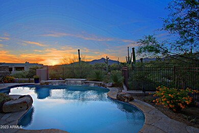 Backyard 7