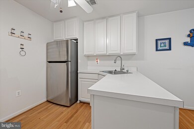 9450 Wordsworth Way unit 304, Owings Mills, MD 21117 - photo 7