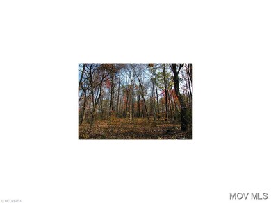 Woods