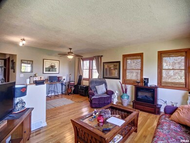 1039 W 10th St, Davenport, IA 52804 - photo 3