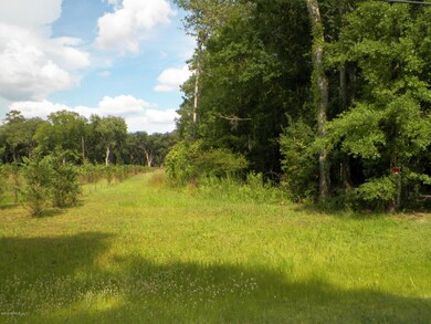 Raggedy Point front of lot (1)