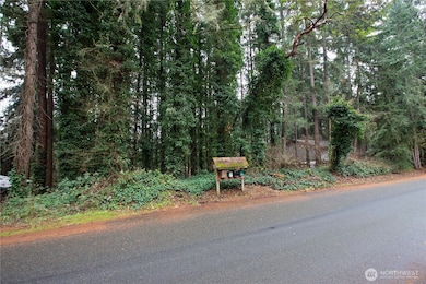 6493 20th Ave SE, Lacey, WA 98503 - photo 5