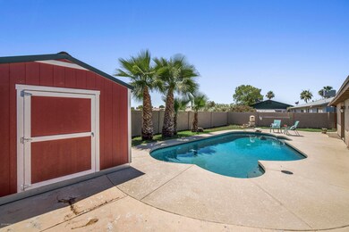 Pool / Back Yard