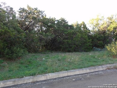 11226 Blue Waters, Helotes, TX 78023 - photo 3