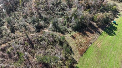 DJI_20241119130008_0106_D