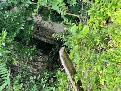 0 Prigmore Ridge Rd unit 1310631, Decatur, TN 37322 - photo 2