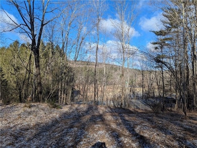 702 East St, Oneonta, NY 13820 - photo 3