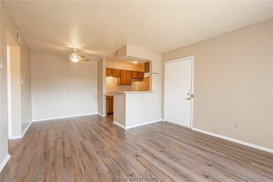 Cripple Creek Condos unit 9, College Station, TX 77840 - photo 4