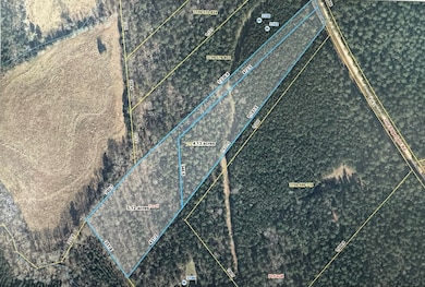 Lot N1 Old Edgefield Rd, Ninety Six, SC 29666 - photo 6