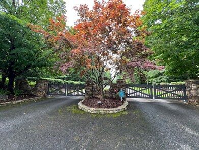 LOT 4 Harris Creek Dr, Ellijay, GA 30540 - photo 7