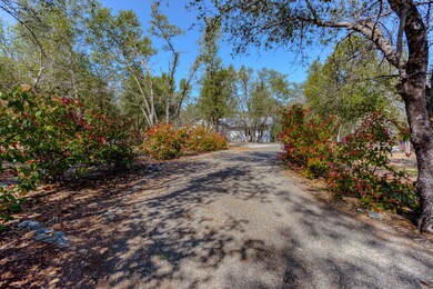 Driveway 1