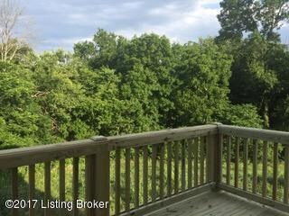 View off Deck 1