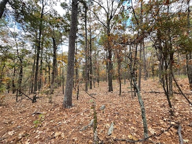 Unit 156 Rd, Moyers, OK 74523 - photo 5