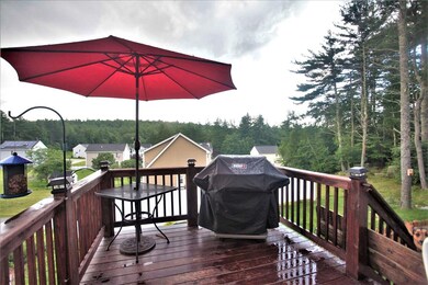 149 Badger Hill Dr, Milford, NH 03055 - photo 6