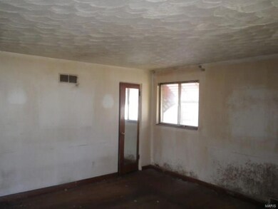 4507 Carter Ave, Saint Louis, MO 63115 - photo 4