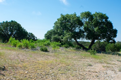 TBD Cr 194 Rd, Tuscola, TX 79562 - photo 5