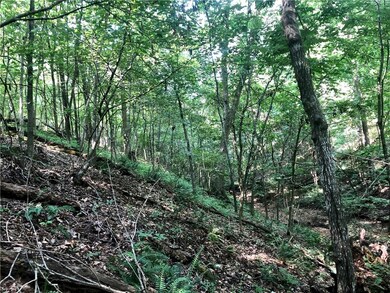 00 Cardinal Rd, Bella Vista, AR 72715 - photo 6