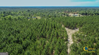 0 Montgomery Rd, Mauk, GA 31058 - photo 4