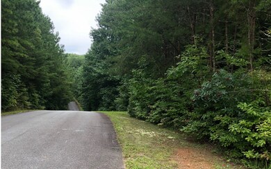 Additional View