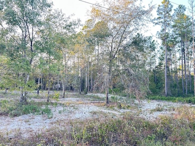 9855 Light Ave, Saint Augustine, FL 32145 - photo 4