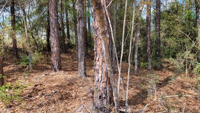 Wooded Lot 0.25 acres