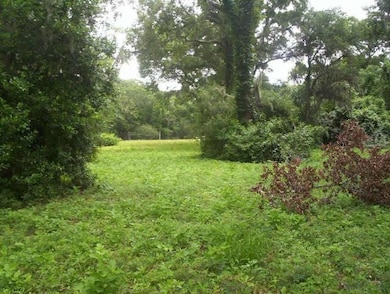 Photos was taken a few years back, lot is now wood