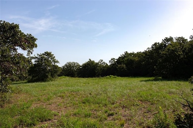 View of local wilderness