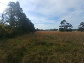 146 Gibbs Ct, Beaufort, NC 28516 - photo 5