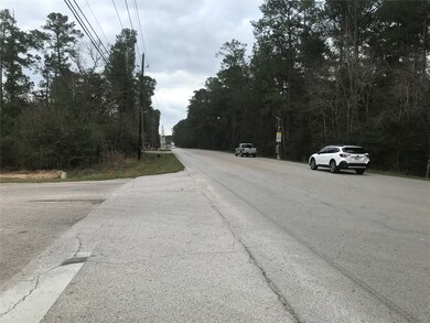 28410 Champion Oaks Dr, Magnolia, TX 77354 - photo 5