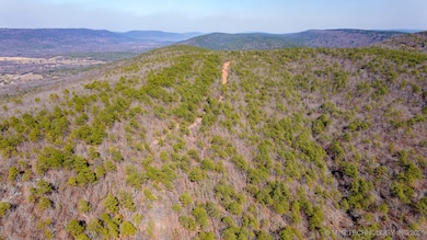 29000 State Highway 43, Clayton, OK 74536 - photo 7