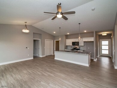 7818 NW 96th St, Grimes, IA 50111 - photo 6