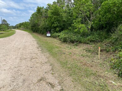 6304 Septimo St, Brazoria, TX 77422 - photo 3