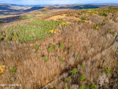 L13 W Woodstock Rd, Berne, NY 12023 - photo 5