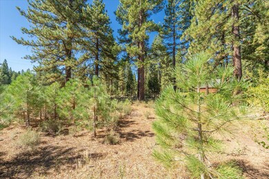 11296 Wolverine Cir, Truckee, CA 96161 - photo 5