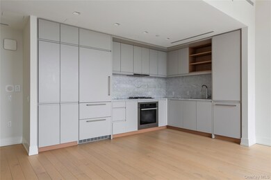 550 Vanderbilt unit 915, Brooklyn, NY 11238 - photo 2