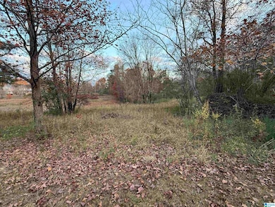 3 Springs Cove Rd, Warrior, AL 35180 - photo 5