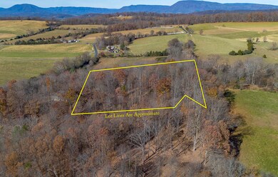 5.67 Acres Still Water Lane Land-10