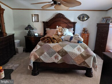 34495 Branch School Rd, Laurel, DE 19956 - photo 5