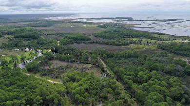 Lot 7 SW 104th St, Cedar Key, FL 32625 - photo 5